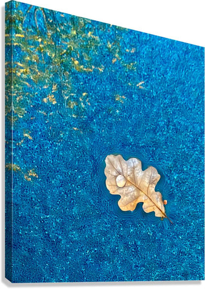 2507230 :: Giclée Stretched Canvas Print
