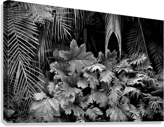 2507308 :: Giclée Stretched Canvas Print