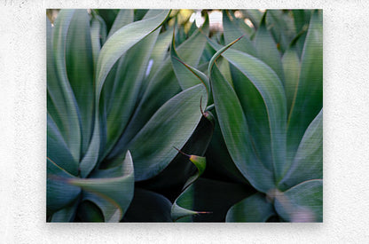 2472622 :: Brushed Metal Print