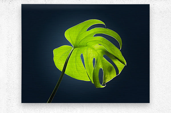 2472625 :: Brushed Metal Print