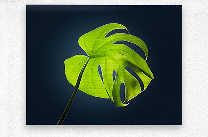2472625 :: Brushed Metal Print