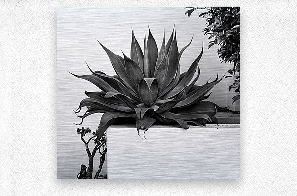 2472630 :: Brushed Metal Print