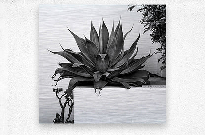 2472630 :: Brushed Metal Print