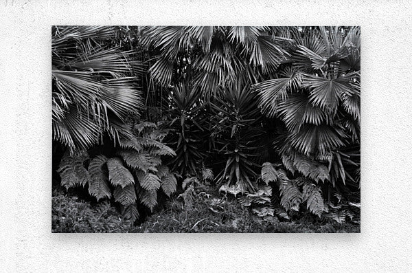 2474293 :: Brushed Metal Print