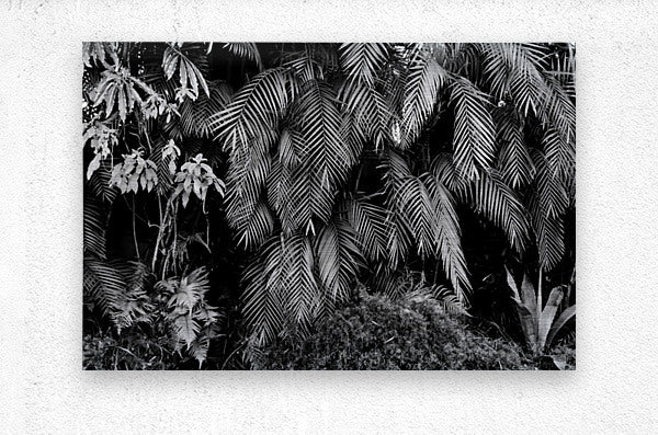 2474294 :: Brushed Metal Print