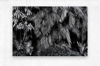 2474294 :: Brushed Metal Print