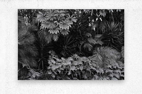 2474296 :: Brushed Metal Print