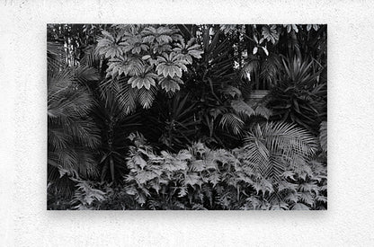 2474296 :: Brushed Metal Print