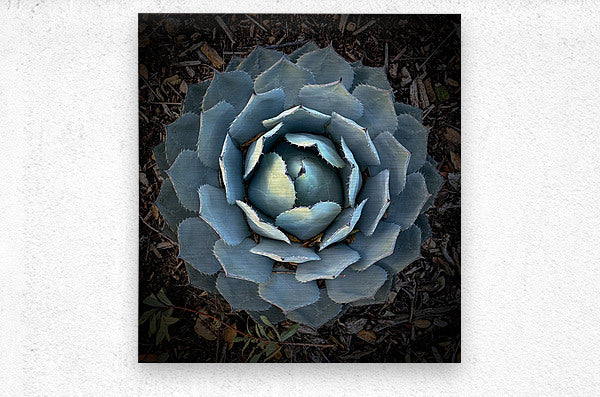 2504115 :: Brushed Metal Print