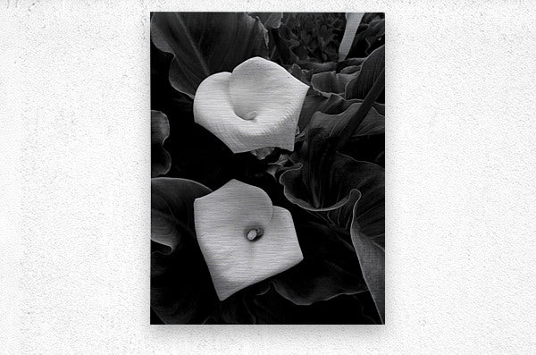 2504117 :: Brushed Metal Print