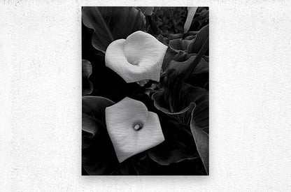 2504117 :: Brushed Metal Print