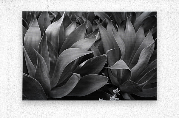 2504118 :: Brushed Metal Print