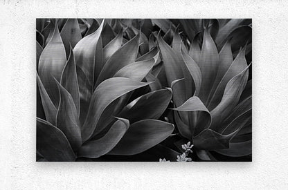 2504118 :: Brushed Metal Print