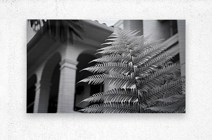 2504119 :: Brushed Metal Print