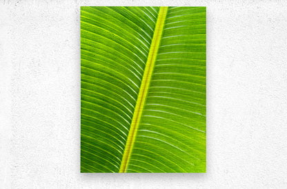 2504120 :: Brushed Metal Print