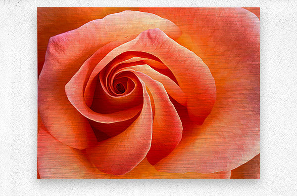 2504121 :: Brushed Metal Print