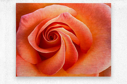 2504121 :: Brushed Metal Print