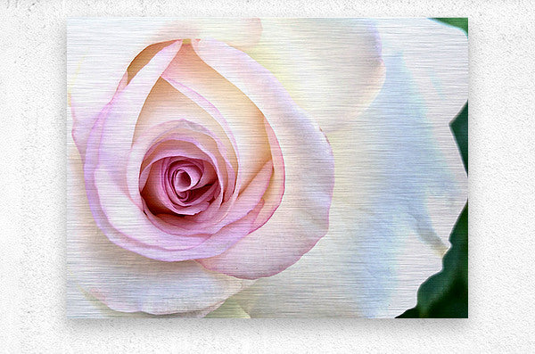 2504124 :: Brushed Metal Print