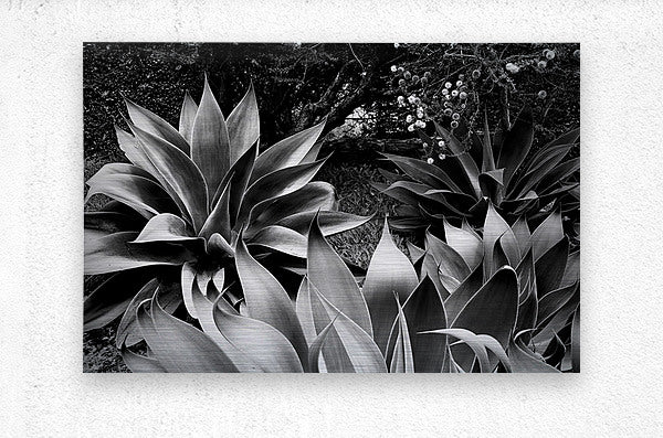 2504125 :: Brushed Metal Print