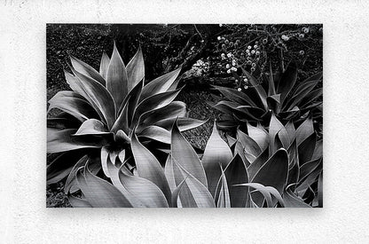 2504125 :: Brushed Metal Print