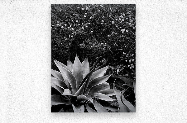 2504126 :: Brushed Metal Print