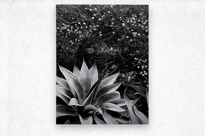 2504126 :: Brushed Metal Print