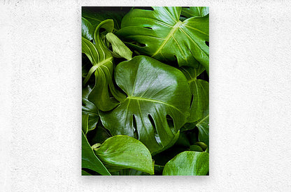 2506821 :: Brushed Metal Print