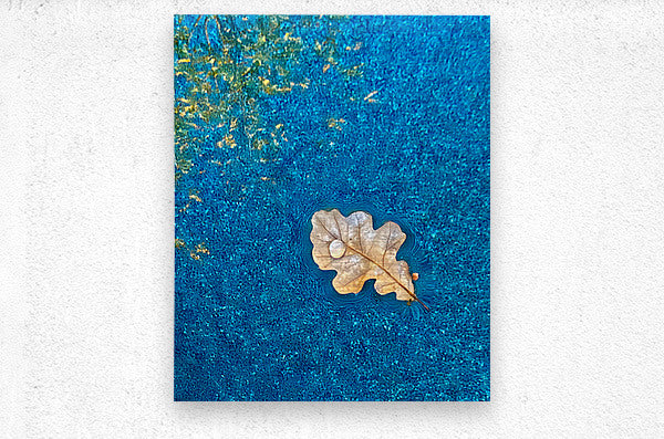 2507230 :: Brushed Metal Print