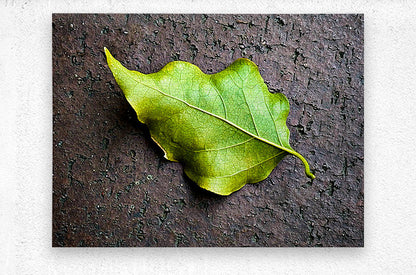 2507300 :: Brushed Metal Print
