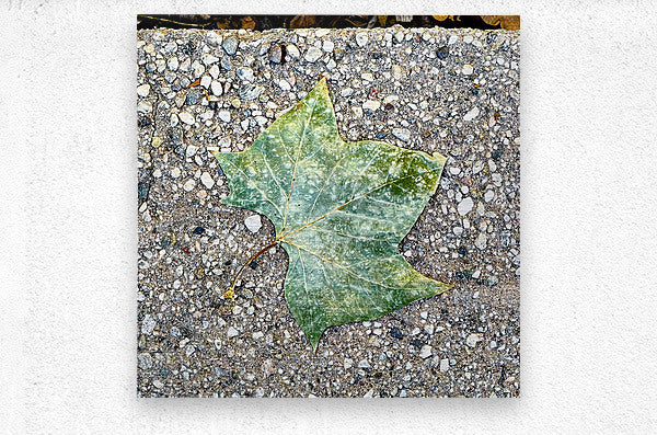 2507302 :: Brushed Metal Print
