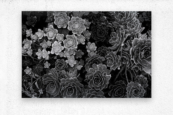 2507303 :: Brushed Metal Print