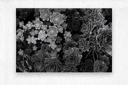 2507303 :: Brushed Metal Print