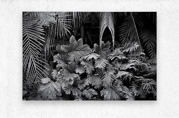 2507308 :: Brushed Metal Print