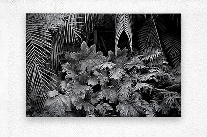2507308 :: Brushed Metal Print