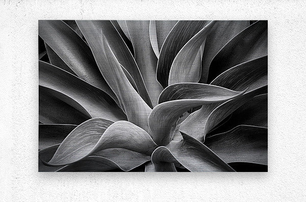 2507309 :: Brushed Metal Print