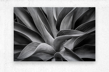 2507309 :: Brushed Metal Print