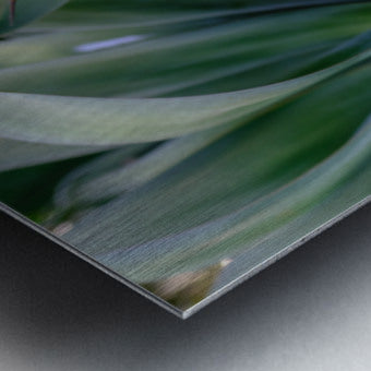 2472622 :: Brushed Metal Print