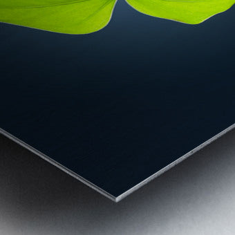 2472625 :: Brushed Metal Print