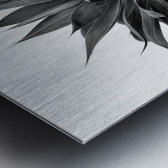 2472630 :: Brushed Metal Print