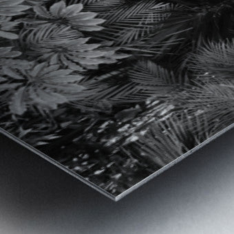 2474296 :: Brushed Metal Print