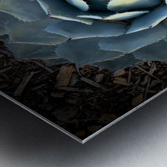 2504115 :: Brushed Metal Print