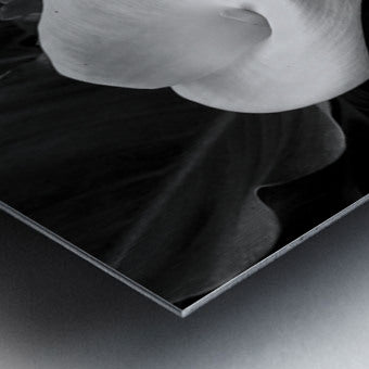 2504117 :: Brushed Metal Print
