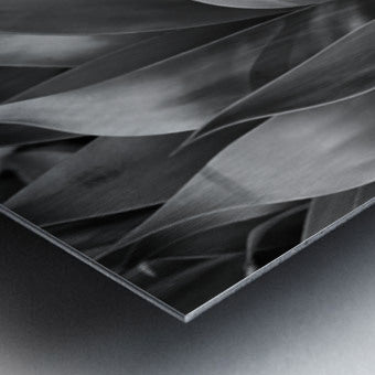 2504118 :: Brushed Metal Print