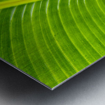 2504120 :: Brushed Metal Print