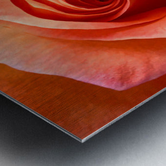 2504121 :: Brushed Metal Print
