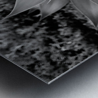 2504122 :: Brushed Metal Print