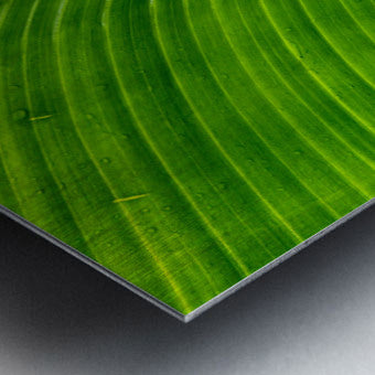 2504123 :: Brushed Metal Print