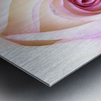 2504124 :: Brushed Metal Print