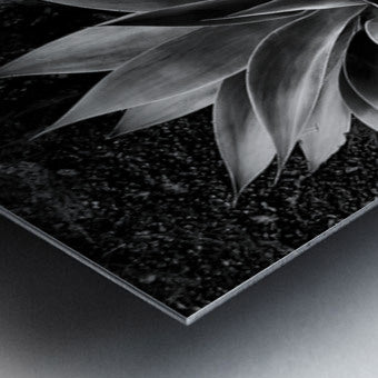 2504125 :: Brushed Metal Print