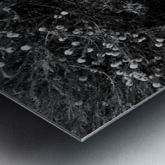 2504126 :: Brushed Metal Print